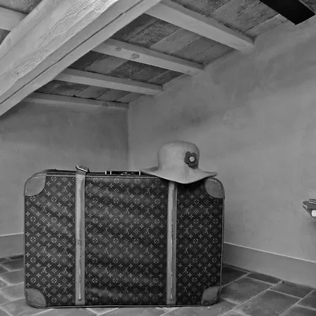 Pomarancio Saludecio