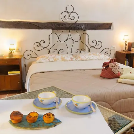 Pomarancio * Saludecio