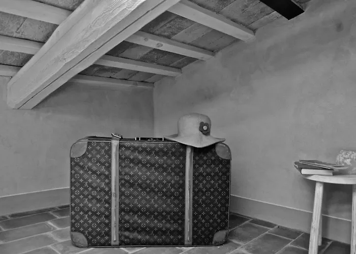 Pomarancio Saludecio