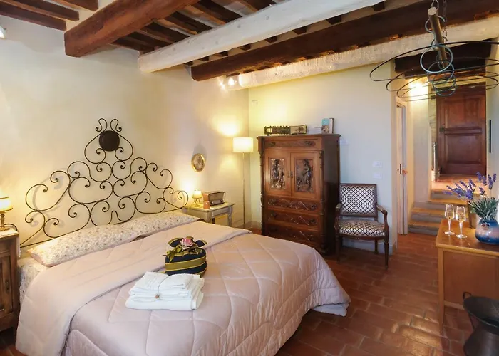 Pomarancio Saludecio